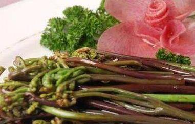 水蕨菜和山蕨菜的差别（水蕨菜和山蕨菜的差别是什么）