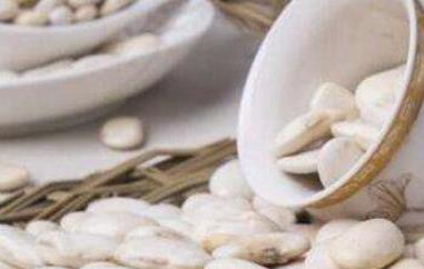 白芸豆的功效与作用 白芸豆的功效与作用及禁忌