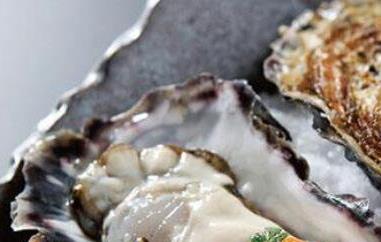 牡蛎怎么吃 海鲜牡蛎怎么吃
