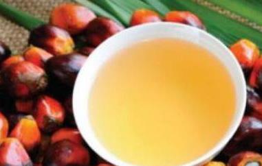 棕榈油的功效与作用及副作用（棕榈油的功效与作用及副作用是什么）