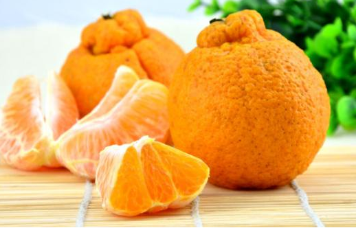 丑橘盆栽如何养护，关键方法有哪些（如何让盆栽丑橘结果）