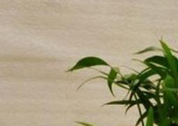 袖珍椰子树的养殖方法和注意事项 袖珍椰子树适合放在哪里养