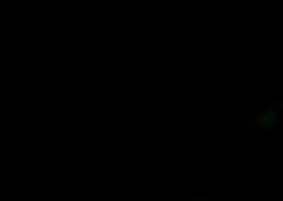 单瓣黄刺玫怎么种 单瓣黄刺玫果实药用价值