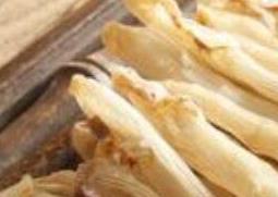 沙虫干的功效与作用 小孩吃沙虫干的功效与作用