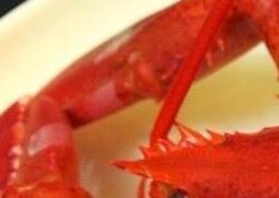 波士顿龙虾的营养价值 波士顿龙虾的营养价值及功效