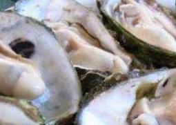 牡蛎怎么做好吃 牡蛎的最佳吃法