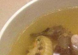 海马煲汤的功效与作用 海马的功效与作用海马煲汤的做法