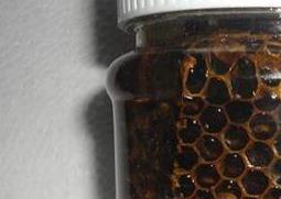 黑蜂蜂胶的功效与作用 黑蜂蜂胶的功效与作用