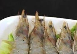 明虾壳的营养价值 明虾的壳有营养吗