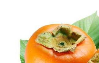 脆柿子的功效与作用 脆柿子的功效与作用及副作用