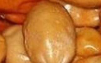 沙枣怎么吃 沙枣怎么吃?有哪些吃法?