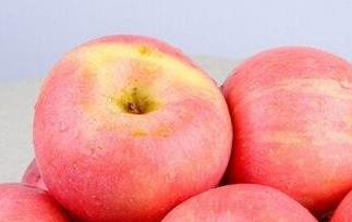 白领族吃苹果的好处有哪些 常吃苹果有哪些好处