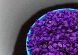 小紫药对人体的危害 小紫药对人体的危害有哪些