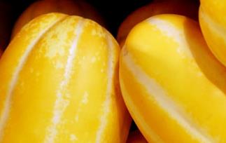 香瓜的营养价值与功效 香瓜的营养价值与功效禁忌