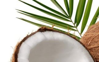 椰子的功效与作用（椰子的功效与作用及食用方法）