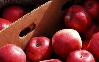 苹果的营养成分和药用价值 苹果的营养价值和用途