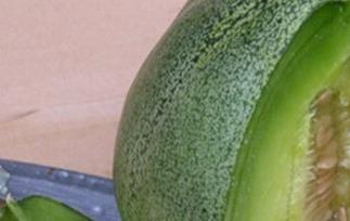 绿宝香瓜的营养价值 绿宝香瓜的营养价值和功效