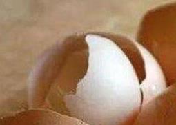 鸡蛋壳如何去除水壶的水垢（鸡蛋壳如何去除水壶的水垢妙招）