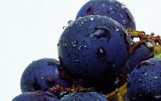 葡萄吃多了怎么样 葡萄吃多了怎么样解毒