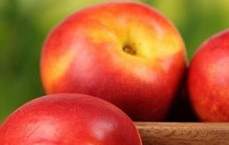 油桃的营养价值有哪些 油桃的营养价值有哪些呢