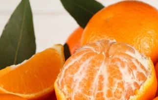 橘子跟桔子有什么区别（橘子与桔子有区别吗?）