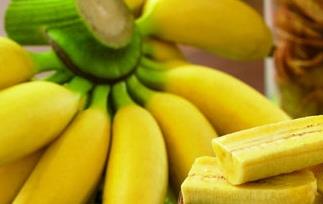 晚上吃香蕉会发胖吗 晚上吃香蕉会发胖吗_详解晚上吃香蕉的影响!