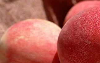 桃子的食疗功效与用法 桃子的食疗作用