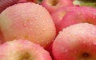 晚上吃苹果好吗 晚上吃苹果好吗会减肥吗