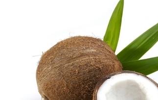 椰子的功效与作用 椰子肉的功效与作用