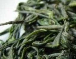松萝泡水喝的功效与作用 松萝泡水喝的功效与作用禁忌
