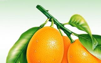 金橘 金橘子和冰糖怎样制作能止咳