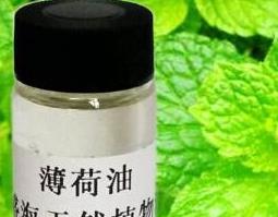 薄荷油的功效与作用及用法（薄荷油的功效与作用点用）