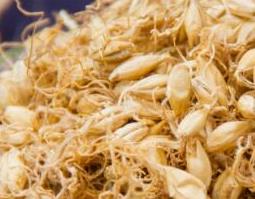 炒麦芽的功效和作用 炒稻芽的功效与作用