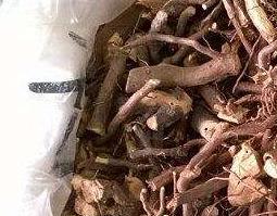 茅莓根的功效与作用（茅莓根的功效与作用图片）
