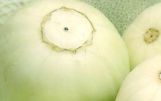 香瓜的营养价值和保健功效