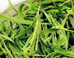 中草药淡竹叶的功效与作用 淡竹叶草药功能主治什么