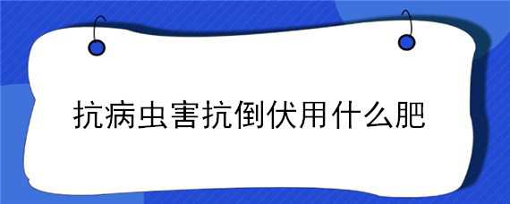 抗病虫害抗倒伏用什么肥（抗病虫害抗倒伏用什么肥化学）