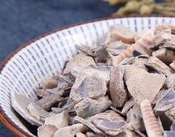 紫贝齿的功效与作用及禁忌（紫贝齿的功效与作用及禁忌症的功效与作用）