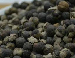 蔓荆子的功效与作用（蔓荆子的功效与作用的功能与主治与用量）
