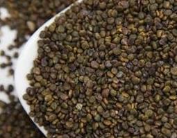 沙苑子的功效作用与用法 沙苑子的功效作用与用法用量