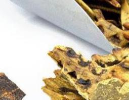 醋鳖甲的功效与作用（醋鳖甲的功效与作用的功能与主治与用量）