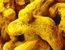 姜黄的功效与作用及药用价值 姜黄的功效与作用及药用价值及禁忌