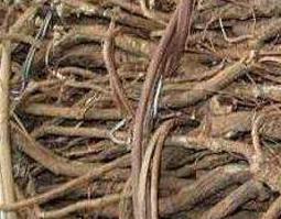 山豆根和北豆根的区别 山豆根和北豆根的区别图片