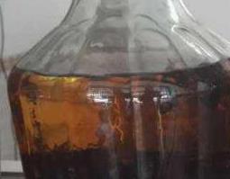 胡蜂泡酒的功效与作用