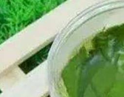 荷叶泡水喝的功效与作用 竹叶荷叶泡水喝的功效与作用