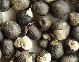 中药蔓荆子的功效与用法 中药蔓荆子功效与作用