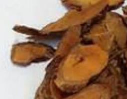 茅莓根的功效与作用 茅莓根的功效与作用图片