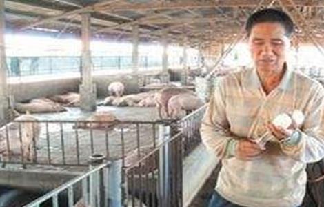 秋冬季养猪场的防疫要点 猪场的防疫制度和措施有哪些
