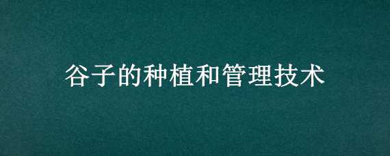 谷子的种植和管理技术（谷子的种植和管理技术调查报告）