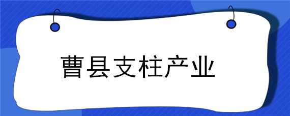 曹县支柱产业 曹县的支柱产业